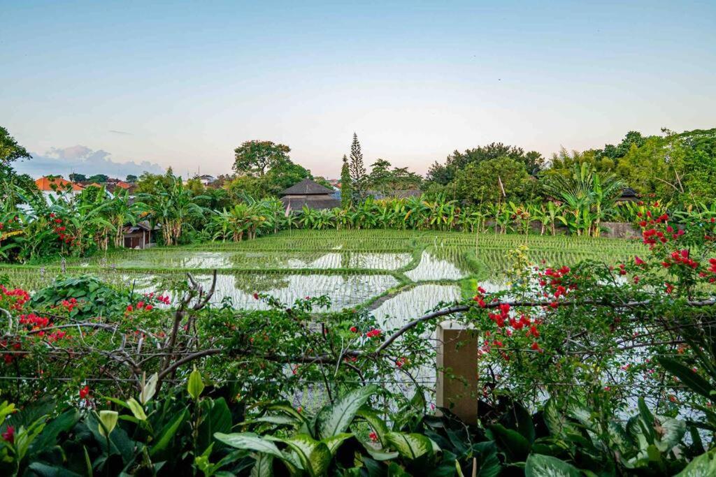 Villa Mimpi Nyata Canggu Exterior foto