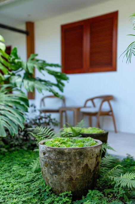 Villa Mimpi Nyata Canggu Exterior foto